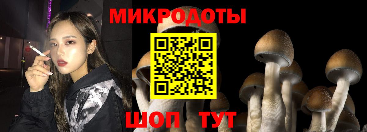 Галлюциногенные грибы Psilocybine cubensis  Вход с VPN  Югорск 
